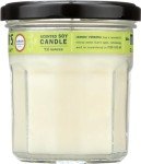 Lemon Verbena Scented Soy Candle Set - 2 ct