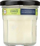 Lemon Verbena Scented Soy Candle Set - 2 ct