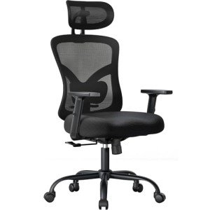 Ergonomic Office Chair with Lumbar Support and Headrest