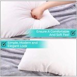QUBA 18x18 Down Alternative Throw Pillow Inserts - 2 Pack