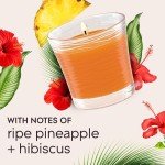 Hawaiian Breeze Scented Candle Jar, 2 Count