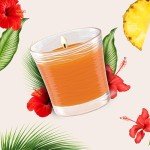 Hawaiian Breeze Scented Candle Jar, 2 Count