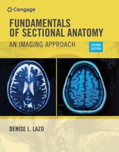 Lazo's Sectional Anatomy Workbook: Imaging Approach