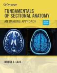 Lazo's Sectional Anatomy Workbook: Imaging Approach