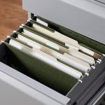 Hanging File Organizer Folders with Adjustable Tabs
