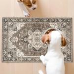 Beige Distressed Oriental 2x3 Area Rug
