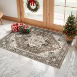 Beige Distressed Oriental 2x3 Area Rug