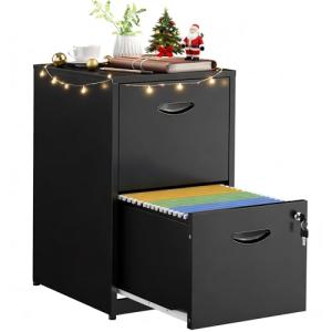 Metal 2 Drawer File Cabinet with Lock - Black