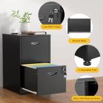 Metal 2 Drawer File Cabinet with Lock - Black