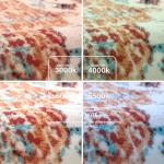 Bohemian Floral Medallion 4x6 Area Rug