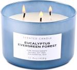 Eucalyptus Pine Scented 3-Wick Candle 15.8 oz