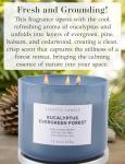 Eucalyptus Pine Scented 3-Wick Candle 15.8 oz