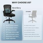 Ergonomic Office Chair with Adjustable Lumbar Support