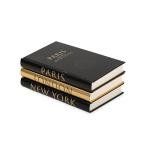 Stylish Black and Gold Decorative Faux Books Set