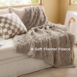 5-Piece Queen Comforter Set with Throw Blanket