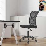 Ergonomic Mesh Office Chair with Lumbar Support