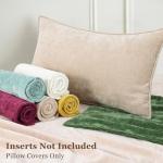 Beige Chenille Throw Pillow Covers Set of 2