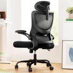 Marsail Ergonomic Mesh Office Chair with Lumbar Support