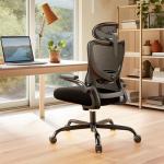 Marsail Ergonomic Mesh Office Chair with Lumbar Support