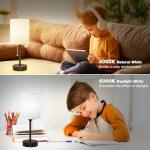 Versatile Bedside Table Lamp with USB Ports