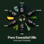 Aromatherapy Essential Oils Set - Top 6 Blends