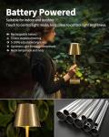 2 Pack Cordless LED Table Lamps - Gold