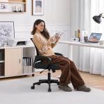 Ergonomic Adjustable Office Chair with Lumbar Support