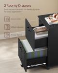 VASAGLE 2-Drawer Rolling File Cabinet - Matte Black