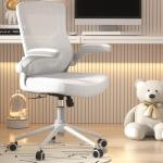 Ergonomic High Back Office Chair with Lumbar Support