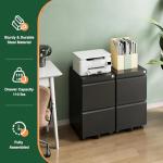 Black Rolling File Cabinet with Lock and 2 Drawers
