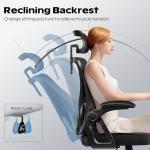 Ergonomic High Back Office Chair with Headrest