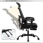 Ergonomic Office Chair with Footrest and Headrest