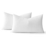MIULEE Rectangle Pillow Inserts Set of 2