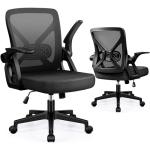 FelixKing Ergonomic Mesh Office Chair with Lumbar Support