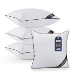Set of 4 White 18x18 Throw Pillow Inserts