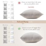 Feather Down Throw Pillow Inserts - Set of 2