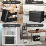 Storage Ottoman Stool with Padded Seat, Black