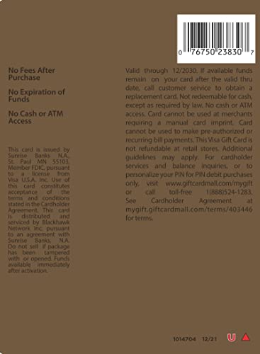 Visa $100 Gift Card (plus $5.95 Purchase Fee)