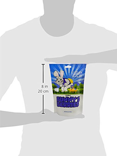 Bunny's Berries Poop Candy (Easter Jelly Beans) - Funny Easter Candy - Unique Gag Gift (2 Pack)