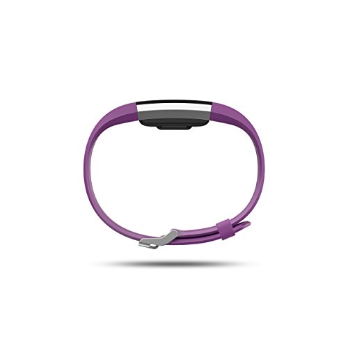 Fitbit Charge 2 Heart Rate + Fitness Wristband, Plum, Small (US Version)