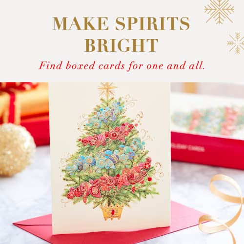 Papyrus Holiday Cards Boxed with Envelopes, Warmest Wishes, Glitter-Free Snowflake