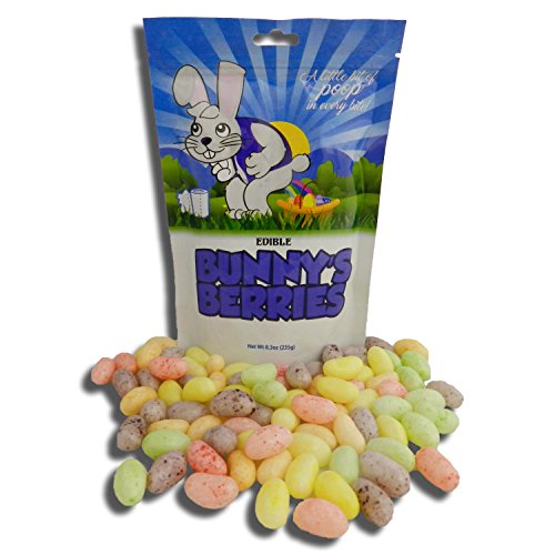 Easter Bunny's Berries Poop Candy (Pastel Jelly Beans) - Funny Easter Candy - Unique Gag Gift (1 Pack)