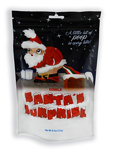 Santa's Surprise Stocking Stuffer Poop Candy (Christmas Jelly Beans - 8.3oz) 1/2 LB - Lump of Coal Alternative - Naughty or Nice Christmas Gag Gift (1 Pack)