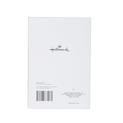 Hallmark Christmas Card (Red and Silver Ornaments)