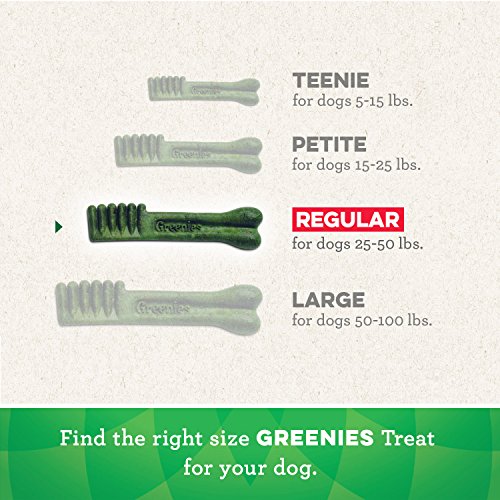 GREENIES Original Regular Natural Dog Dental Care Chews Oral Health Dog Treats, 36 count (Pack of 1)