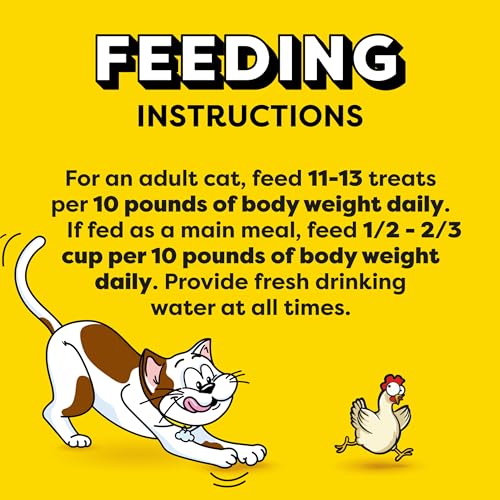 TEMPTATIONS Classic Crunchy and Soft Cat Treats Tasty Chicken Flavor, 30 oz. Tub (Packaging May Vary)