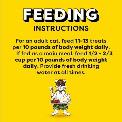 TEMPTATIONS MIXUPS Crunchy and Soft Cat Treats Backyard Cookout Flavor, 16 oz. Tub