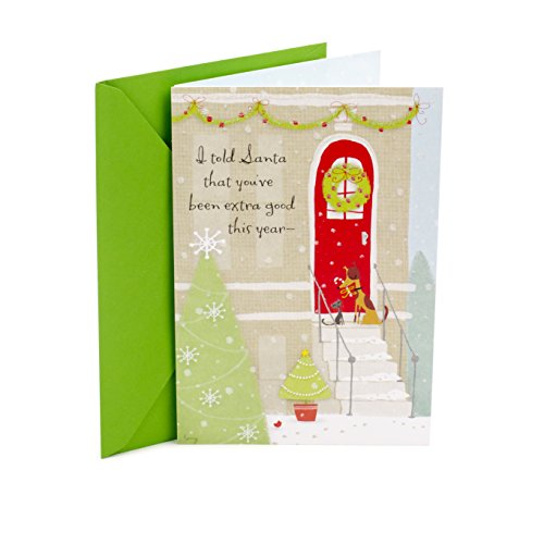 Hallmark Christmas Card (Dog and Cat)