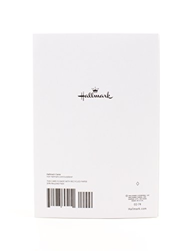 Hallmark Christmas Card (Dog and Cat)