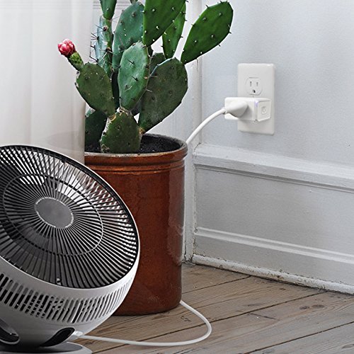 Echo (2nd Generation) - Heather Gray with TP-Link Smart Plug Mini